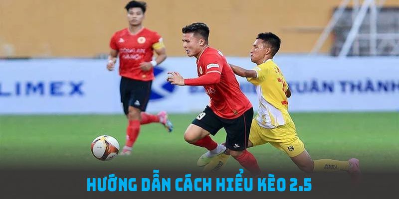 Hướng dẫn cách hiểu kèo 2.5 là gì từ chuyên gia tại 23WIN